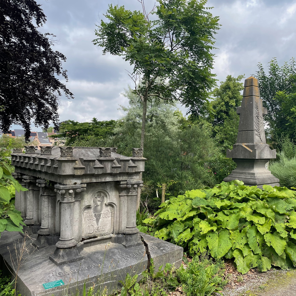 149 Park Cemetery Thumbnail